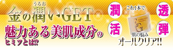 �G�{�����[�S�[���h�@������