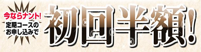 �G�{�����[�S�[���h�@������