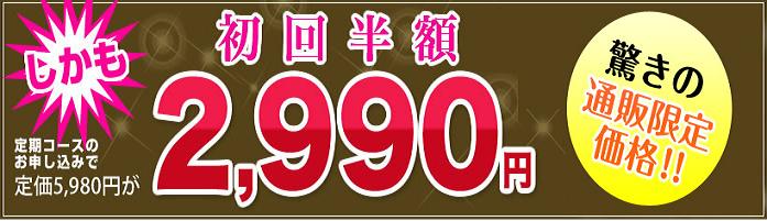 �G�{�����[�S�[���h�@������